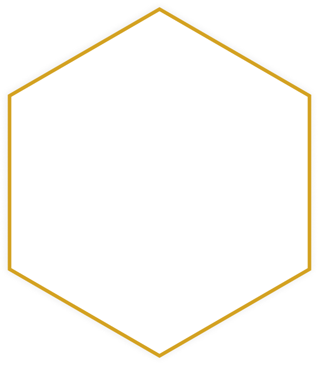 polygon icon